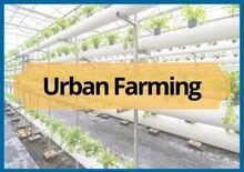 Urban farming for sustainable future. Automated farming with remote monitoring system