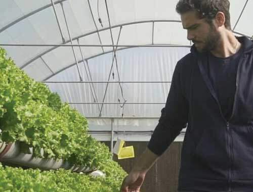 Urban farming for sustainable future. Automated farming with remote monitoring system