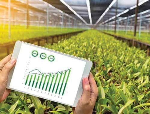 Urban farming for sustainable future. Automated farming with remote monitoring system