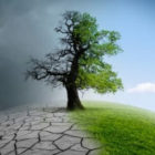 Using Energy Asset Management Software to Tackle Global Climate Change.jpg