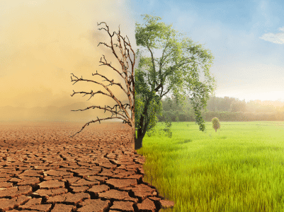 Environmental Monitoring addresses Climate Change